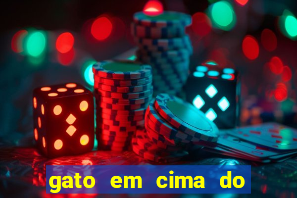 gato em cima do telhado significado espiritual